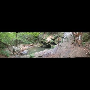 Meet your Posher, Dylan